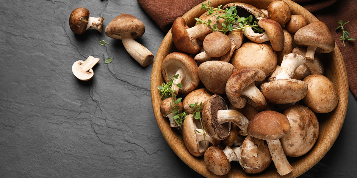 The Magic of Shiitake Mushrooms